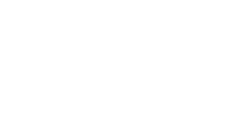 Dior Logo