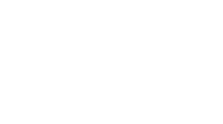 Four Seasons Logo