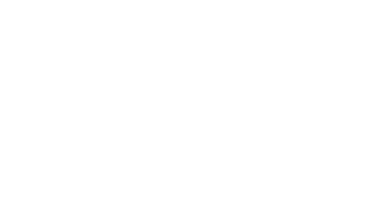 Lamborghini Logo